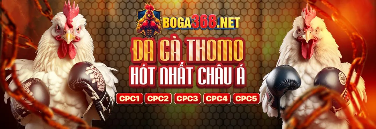 S26bet Casino Trực Tuyến Đẳng Cấp